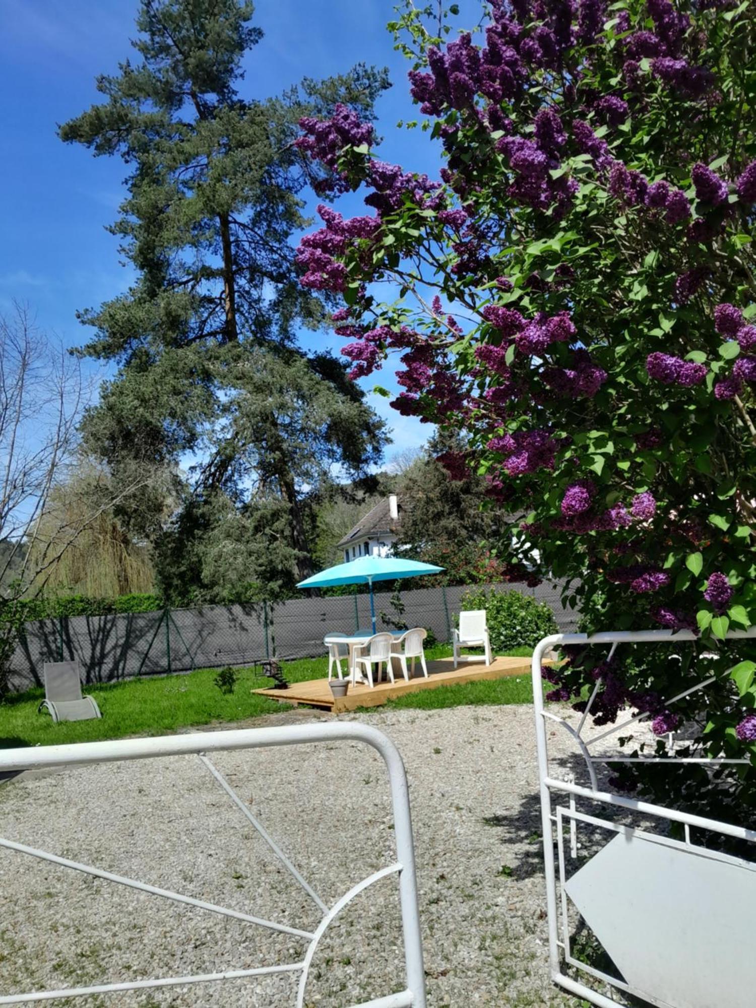 Gite "La Meluzine" Au Bord De La Riviere, Avallon, Vezelay, Morvan Magny  エクステリア 写真