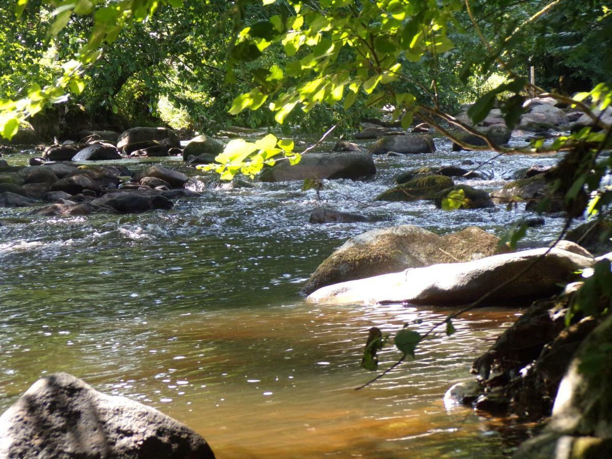 Gite "La Meluzine" Au Bord De La Riviere, Avallon, Vezelay, Morvan Magny  エクステリア 写真
