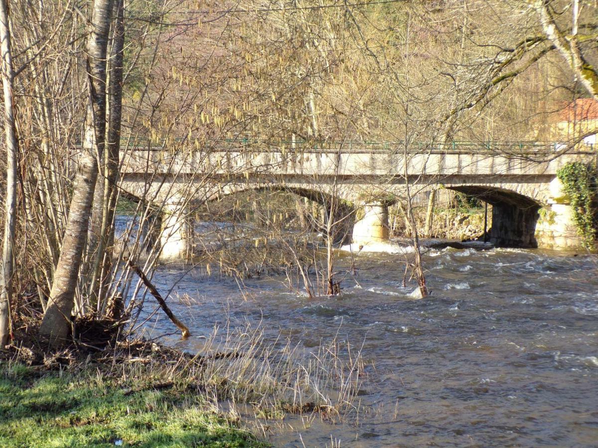 Gite "La Meluzine" Au Bord De La Riviere, Avallon, Vezelay, Morvan Magny  エクステリア 写真