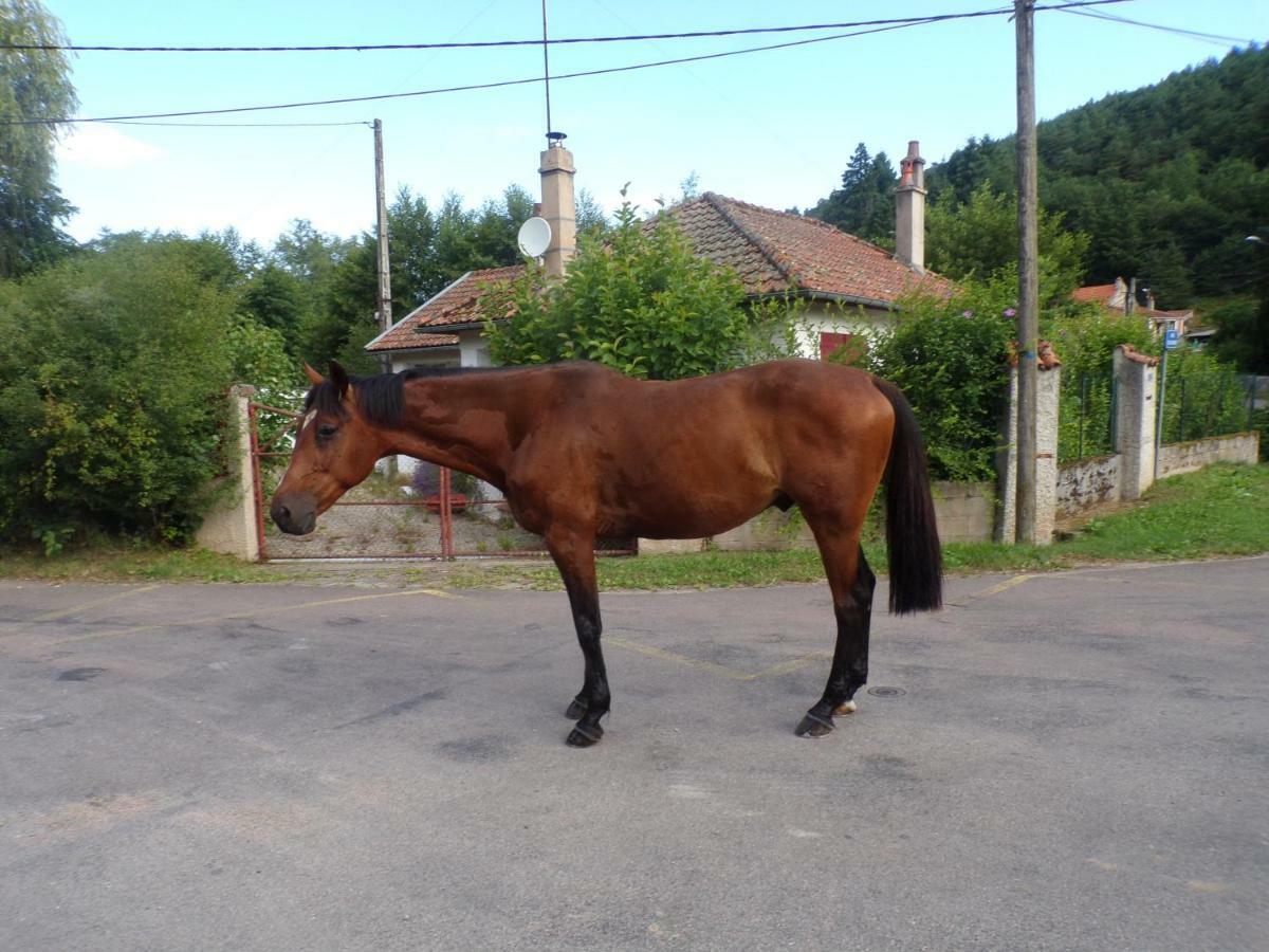 Gite "La Meluzine" Au Bord De La Riviere, Avallon, Vezelay, Morvan Magny  エクステリア 写真