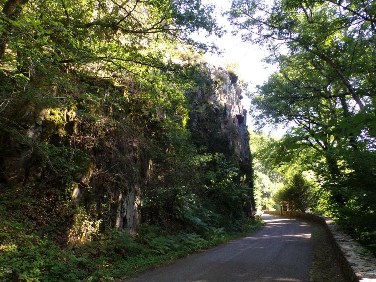 Gite "La Meluzine" Au Bord De La Riviere, Avallon, Vezelay, Morvan Magny  エクステリア 写真