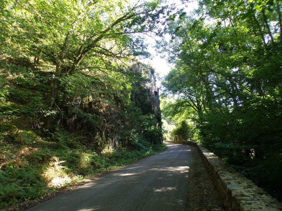 Gite "La Meluzine" Au Bord De La Riviere, Avallon, Vezelay, Morvan Magny  エクステリア 写真