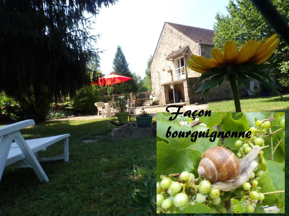 Gite "La Meluzine" Au Bord De La Riviere, Avallon, Vezelay, Morvan Magny  エクステリア 写真